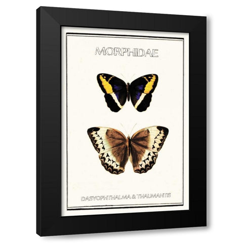Morphidae Black Modern Wood Framed Art Print with Double Matting by Waltz, Anne