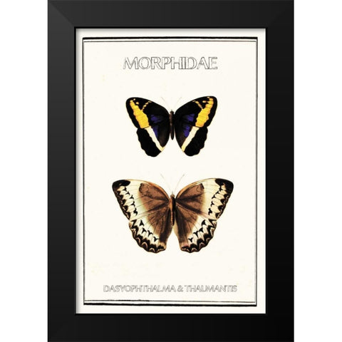 Morphidae Black Modern Wood Framed Art Print by Waltz, Anne