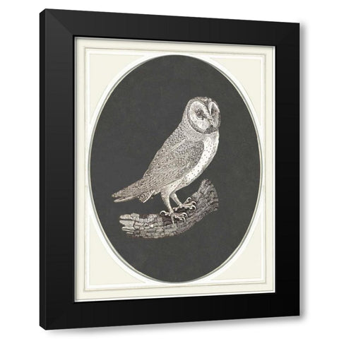 Oehoe II Black Modern Wood Framed Art Print with Double Matting by Waltz, Anne