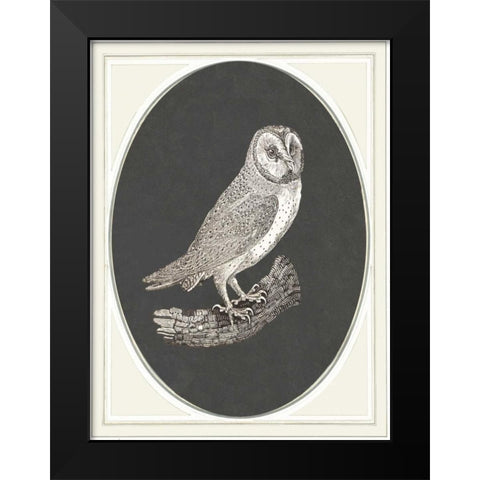 Oehoe II Black Modern Wood Framed Art Print by Waltz, Anne