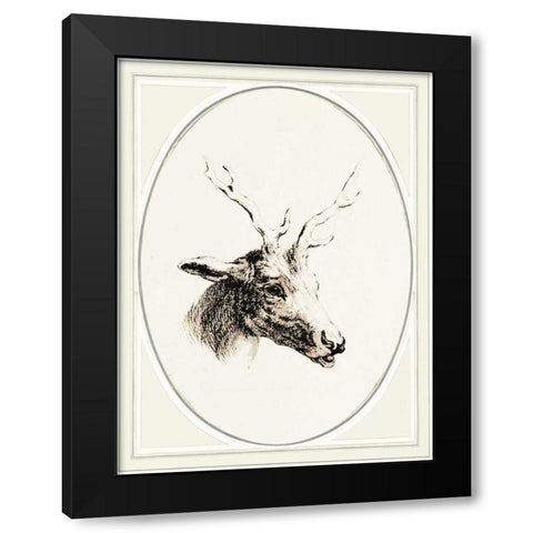 Deer I Black Modern Wood Framed Art Print with Double Matting by Waltz, Anne