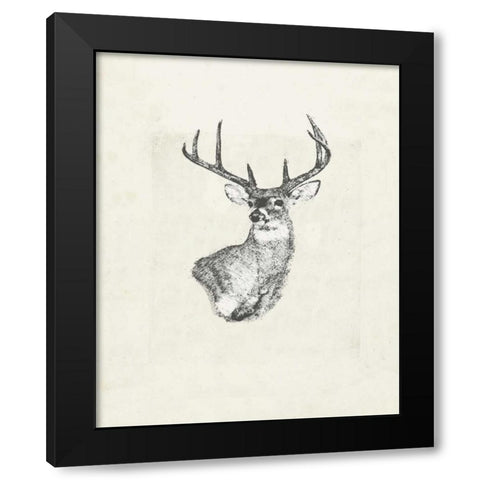 Deer wild I Black Modern Wood Framed Art Print with Double Matting by Waltz, Anne