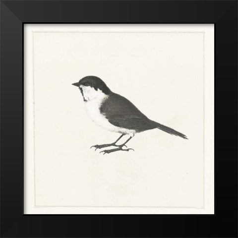 Birdy II Black Modern Wood Framed Art Print by Waltz, Anne