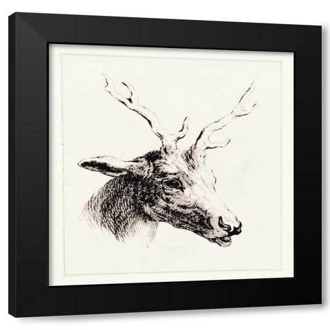 Adeerable I Black Modern Wood Framed Art Print by Waltz, Anne