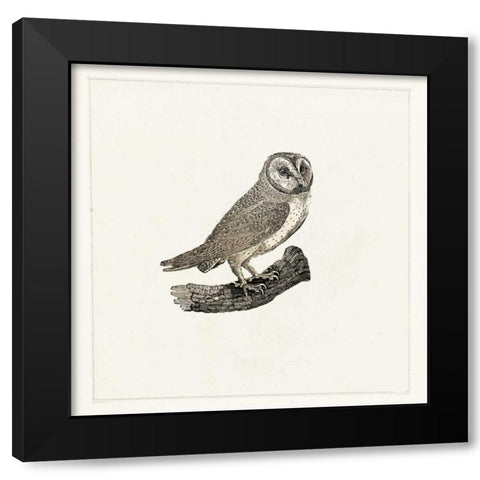 Uiltje Black Modern Wood Framed Art Print by Waltz, Anne