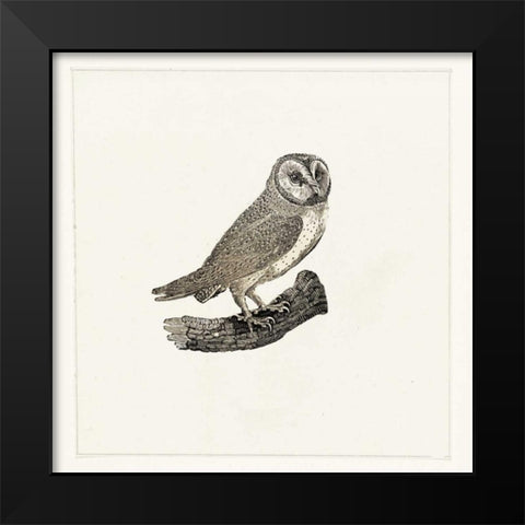 Uiltje Black Modern Wood Framed Art Print by Waltz, Anne