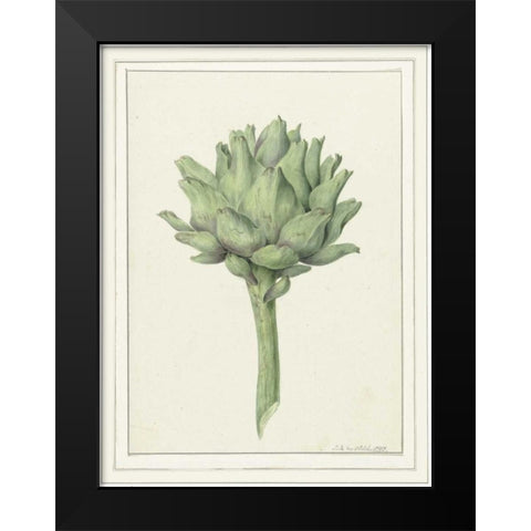 Classic veg Black Modern Wood Framed Art Print by Waltz, Anne