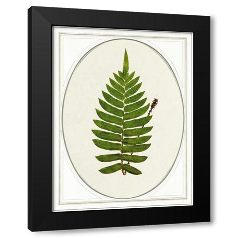 Leaf Black Modern Wood Framed Art Print by Waltz, Anne