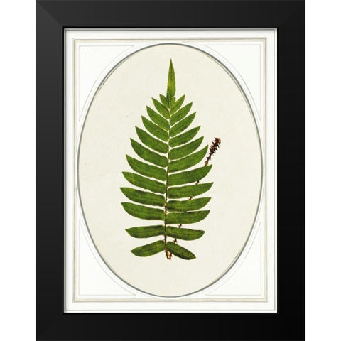 Leaf Black Modern Wood Framed Art Print by Waltz, Anne