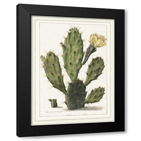 Cactenia Black Modern Wood Framed Art Print by Waltz, Anne