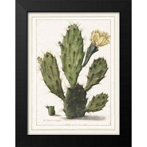 Cactenia Black Modern Wood Framed Art Print by Waltz, Anne