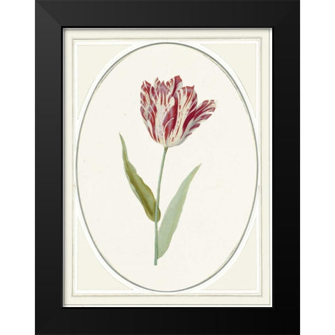 Tulipa V Black Modern Wood Framed Art Print by Waltz, Anne