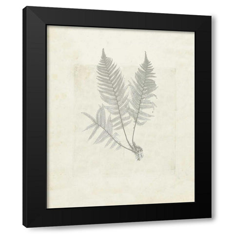 Leaf soft Black Modern Wood Framed Art Print with Double Matting by Waltz, Anne