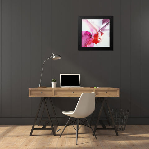 Orchid Flower Black Modern Wood Framed Art Print by Witt, El