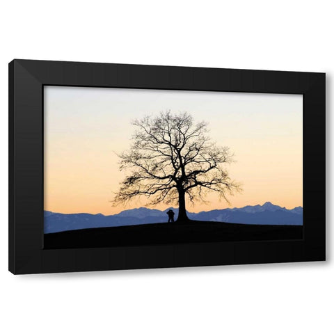 Abenddammerung I Black Modern Wood Framed Art Print by Rossmeissl, Gerhard