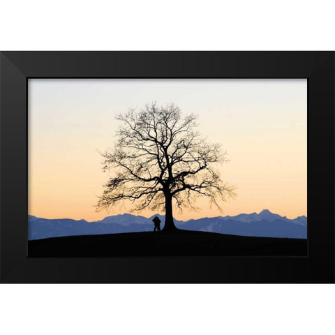 Abenddammerung I Black Modern Wood Framed Art Print by Rossmeissl, Gerhard