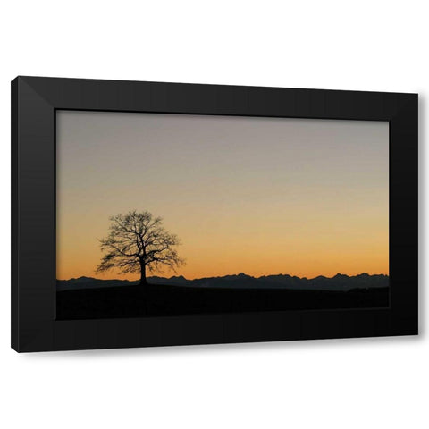 Abenddammerung II Black Modern Wood Framed Art Print by Rossmeissl, Gerhard