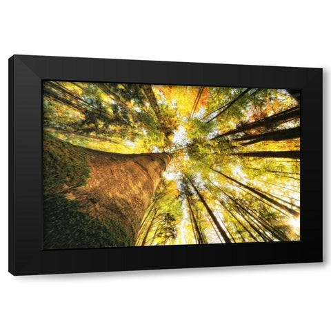 Hoch hinauf Black Modern Wood Framed Art Print with Double Matting by Rossmeissl, Gerhard