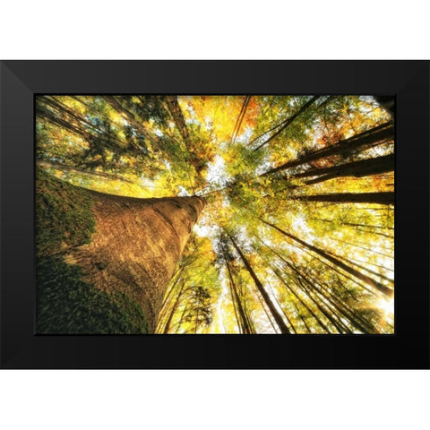 Hoch hinauf Black Modern Wood Framed Art Print by Rossmeissl, Gerhard