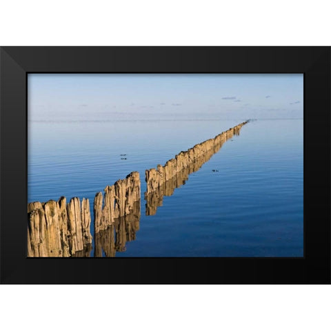 Weite Black Modern Wood Framed Art Print by Rossmeissl, Gerhard