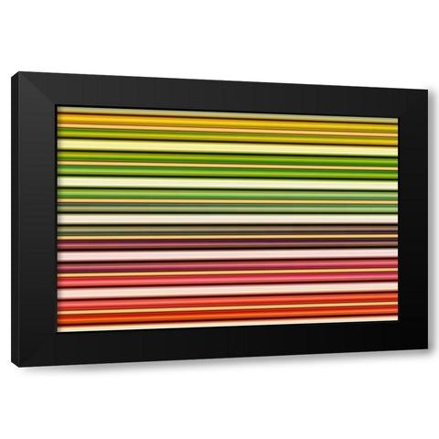 Color Lines I Black Modern Wood Framed Art Print by Rossmeissl, Gerhard