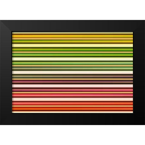 Color Lines I Black Modern Wood Framed Art Print by Rossmeissl, Gerhard