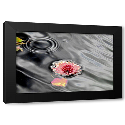 Traumwasser Black Modern Wood Framed Art Print with Double Matting by Weissing, Gerd