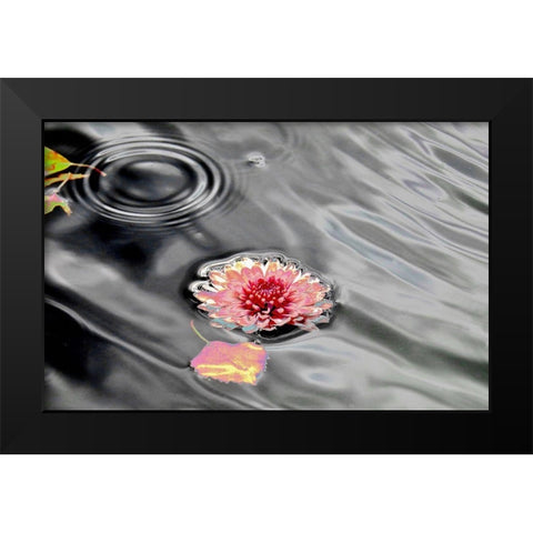 Traumwasser Black Modern Wood Framed Art Print by Weissing, Gerd