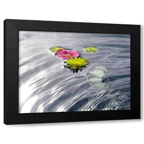 Wassertraum Black Modern Wood Framed Art Print with Double Matting by Weissing, Gerd