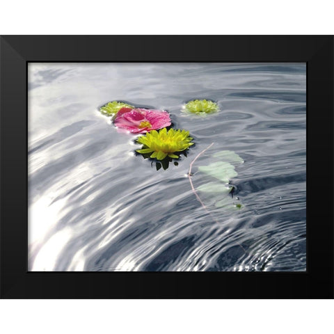 Wassertraum Black Modern Wood Framed Art Print by Weissing, Gerd