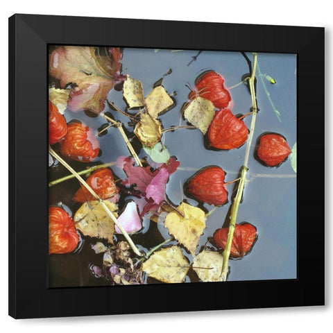 Herbstwasser Black Modern Wood Framed Art Print with Double Matting by Weissing, Gerd