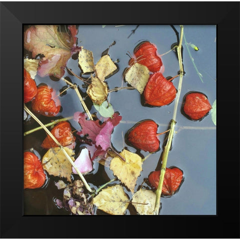 Herbstwasser Black Modern Wood Framed Art Print by Weissing, Gerd