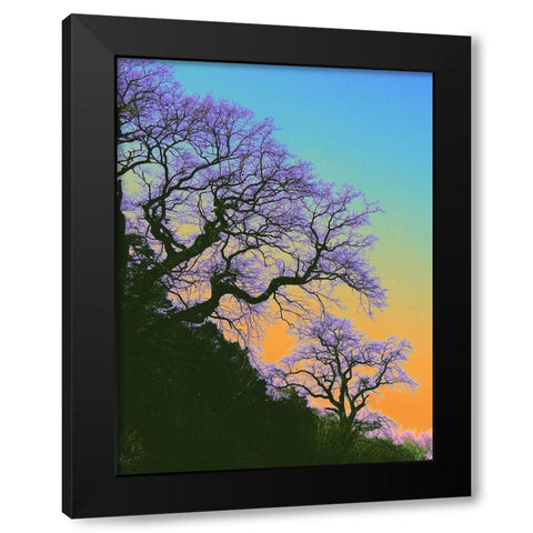 Zeitformen Black Modern Wood Framed Art Print with Double Matting by Weissing, Gerd