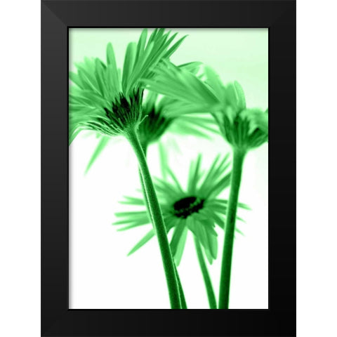 Rendez-Vous I Black Modern Wood Framed Art Print by Riedt, Kirsten