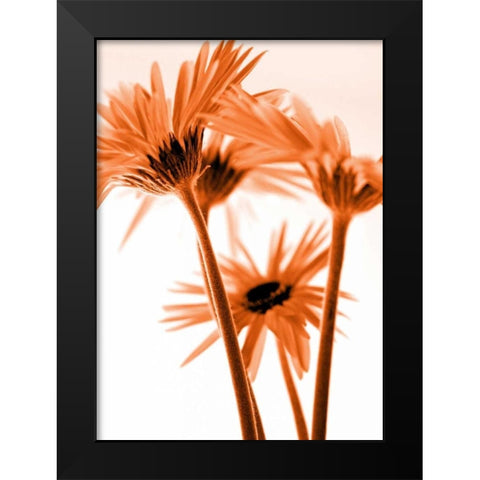 Rendez-Vous II Black Modern Wood Framed Art Print by Riedt, Kirsten