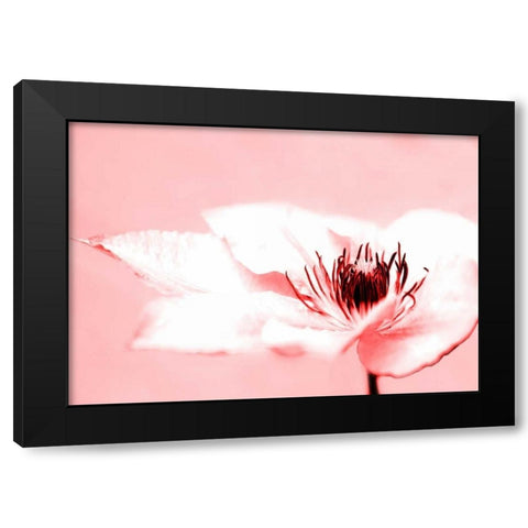 Beauty Black Modern Wood Framed Art Print by Riedt, Kirsten