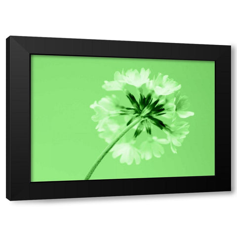 Frizzy Black Modern Wood Framed Art Print with Double Matting by Riedt, Kirsten