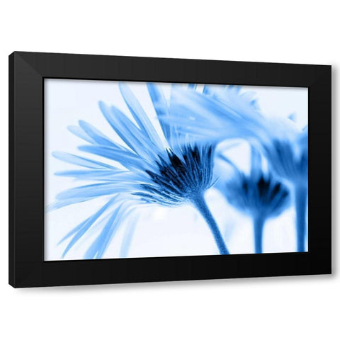 Romance in blue Black Modern Wood Framed Art Print with Double Matting by Riedt, Kirsten