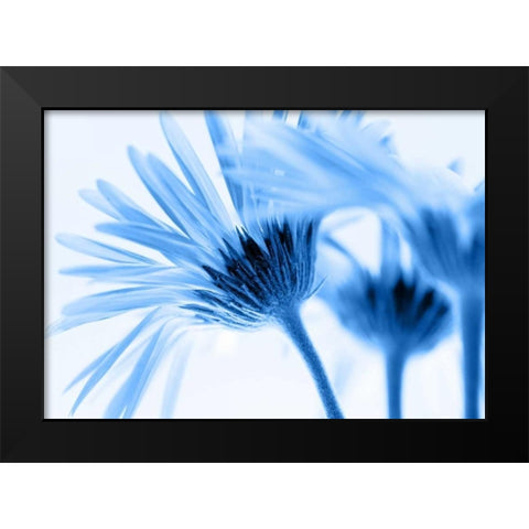 Romance in blue Black Modern Wood Framed Art Print by Riedt, Kirsten