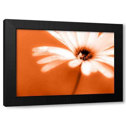 Leaned Black Modern Wood Framed Art Print by Riedt, Kirsten