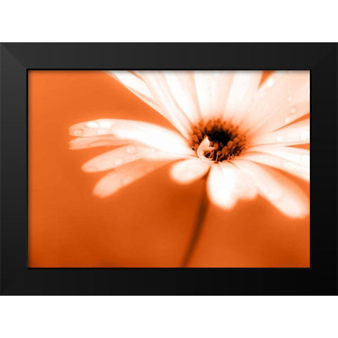 Leaned Black Modern Wood Framed Art Print by Riedt, Kirsten