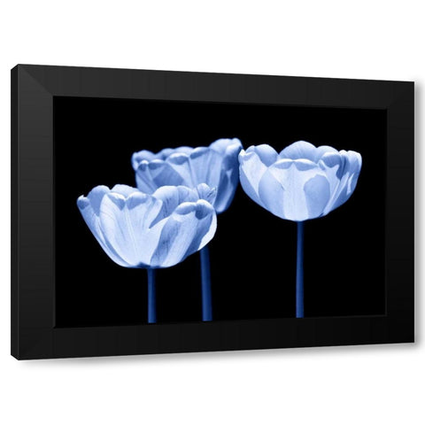 Three of us Black Modern Wood Framed Art Print by Riedt, Kirsten