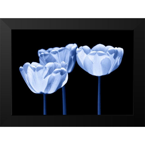 Three of us Black Modern Wood Framed Art Print by Riedt, Kirsten