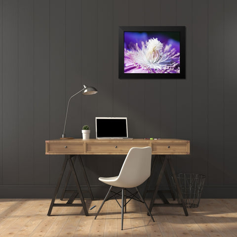 White and purple Black Modern Wood Framed Art Print by Riedt, Kirsten