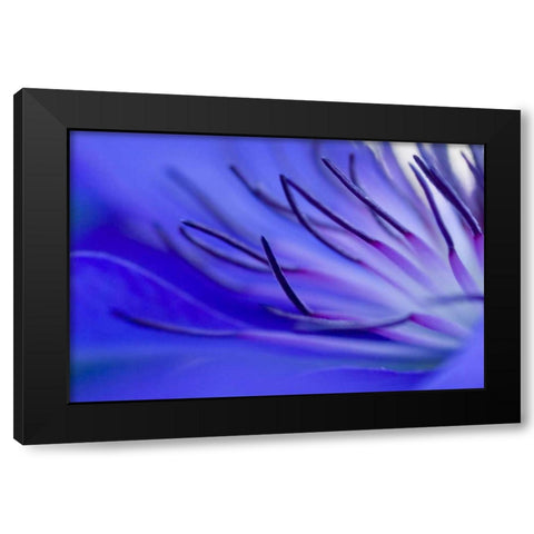 Blue arms Black Modern Wood Framed Art Print by Riedt, Kirsten