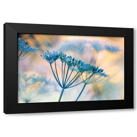 Summer dreams II Black Modern Wood Framed Art Print by Riedt, Kirsten