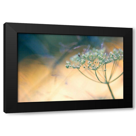 Summer dreams I Black Modern Wood Framed Art Print by Riedt, Kirsten