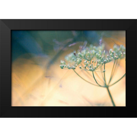 Summer dreams I Black Modern Wood Framed Art Print by Riedt, Kirsten