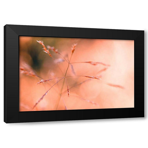 Wild summer I Black Modern Wood Framed Art Print by Riedt, Kirsten