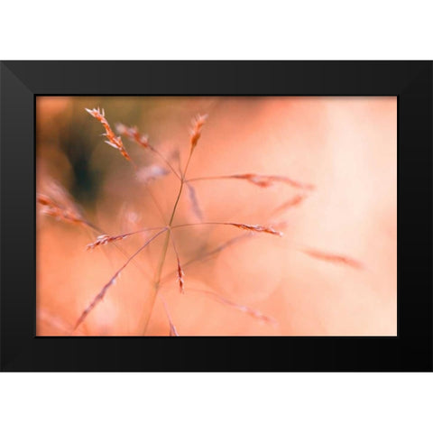 Wild summer I Black Modern Wood Framed Art Print by Riedt, Kirsten